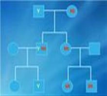 甘肅親子鑒定中心{銀川羊水鑒定費用}-蘭州知真包您滿價格,甘肅親子鑒定中心{銀川羊水鑒定費用}-蘭州知真包您滿廠家,蘭州知真健康信息咨詢中心_中國行業信息網